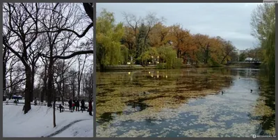 САФАРИ ПАРК САФАРИ ПАРК, Россия: туроператор – туроператор Библио-Глобус