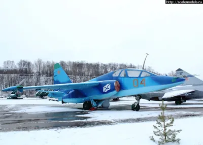 В гарнизоне авиаторов Северного флота в Сафоново открыли новый стадион -  Новости Мурманска и области - ГТРК «Мурман»