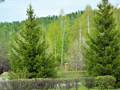 мкр. Ленинградский д. 8 г. Саянск - всё о доме, УК, отзывы, индекс