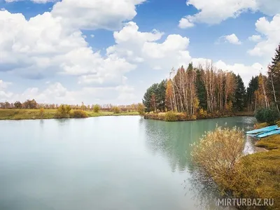 Парк-отель \"Салынь\" | Брянск 2024 | ВКонтакте