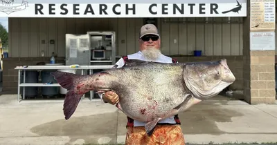 A record pike perch of 22кг # is the greatest Fish caught in the world -  YouTube
