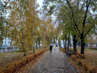 Площадь Куйбышева в Самаре: фото, цены, история, отзывы, как добраться