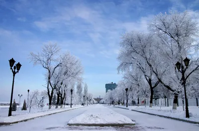 ☃ В Самару пришла зима Делитесь фотками в комментариях ❄ | Новости Самары -  Самара life | ВКонтакте