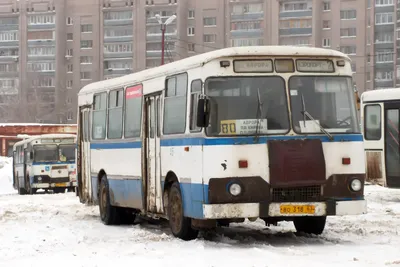 В этом году в Ленинском районе Самары откроется первый модульный спортивный  зал | Александр Хинштейн