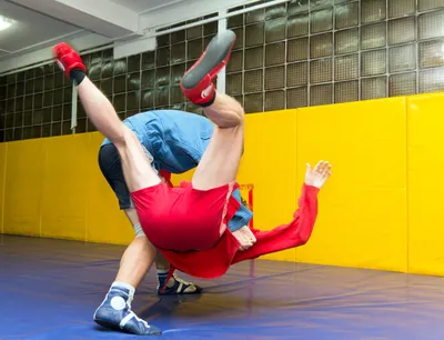 What is Russian Sambo Martial Arts?