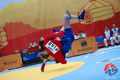 Самбо или дзюдо? Какой вид борьбы лучше | @JudoTeam | Дзен