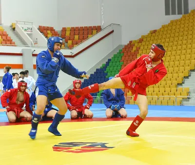 USA Sambo | Sambo Gallery