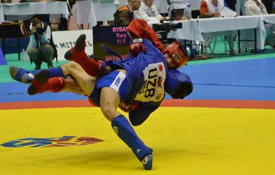 What is SAMBO?