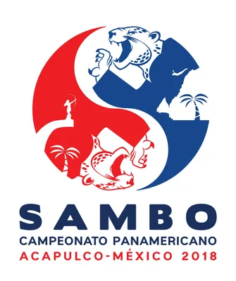 File:Grand Prix Paris de Sambo 2017 IMG 3412 (34125435664).jpg - Wikipedia