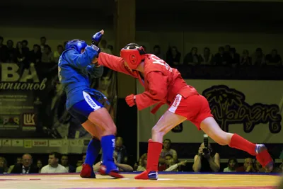 Sambo martial art hi-res stock photography and images - Alamy