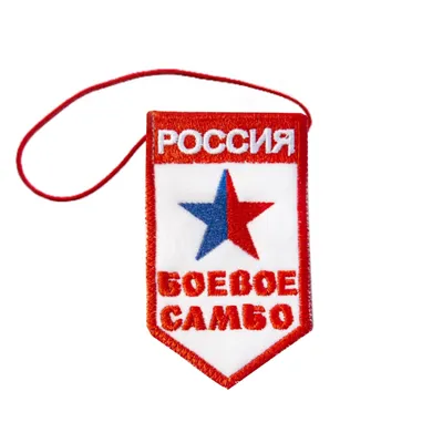 What is Sambo? The Russian Combat Martial Art Explained -