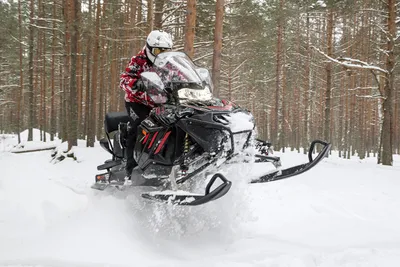 Другие - самодельный снегоход | WWW.SNOWMOBILE.RU • Снегоходный форум