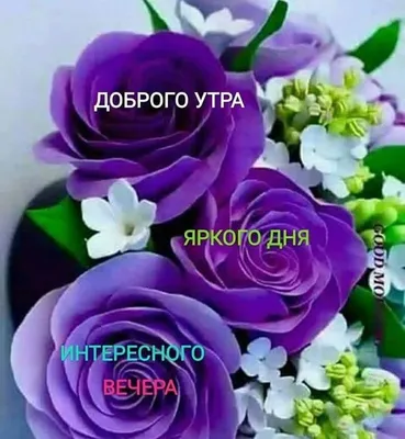 🍁Всем Доброго Утра ✌️ 🌞С добрым утром😊, с новым днем и пусть он будет  просто замечательным. ✌️.. | ВКонтакте