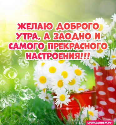 Картинка: «Желаю доброго утра, а заодно и самого прекрасного настроения!» •  Аудио от Путина, голосовые, музыкальные