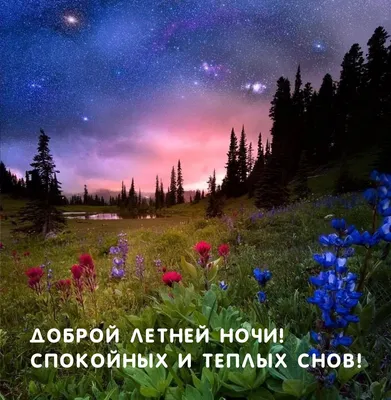 Летние открытки \"Спокойной ночи!\" (262 шт.)