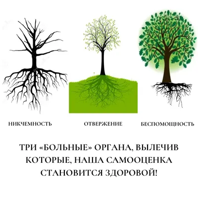 Женская самооценка. Почему она так важна и зачем её нужно постоянно  повышать? | Сатья в дзен | Дзен