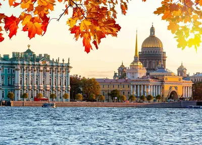 Экскурсия «Новогодний Петербург и самые красивые ёлки города»