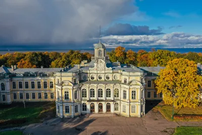 Город огней: самые красивые места Питера с ночной подсветкой для  захватывающих фотографий | Метод ЛЭТИ | Дзен