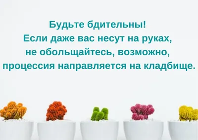 Красивые статусы и цитаты про осень | Любовь и романтика | Дзен