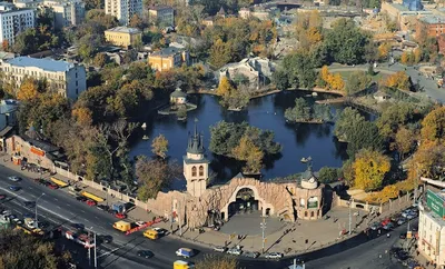 Самые красивые места в Москве зимой. Где можно прогуляться зимой по Москве  | History facts | Дзен