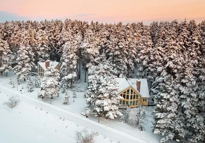 Красивые зимние картинки (часть 2) 🌨 | Волшебный мир иллюстраций | Дзен