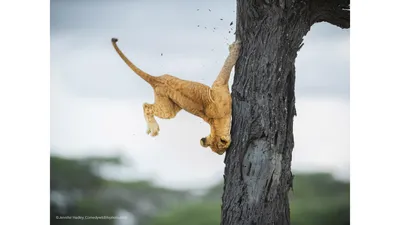 Самые милые картинки (48 лучших фото)