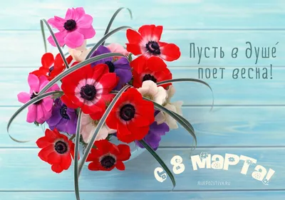 Поэтический челлендж (поздравления с 8 марта) — Rammolcenter.ru