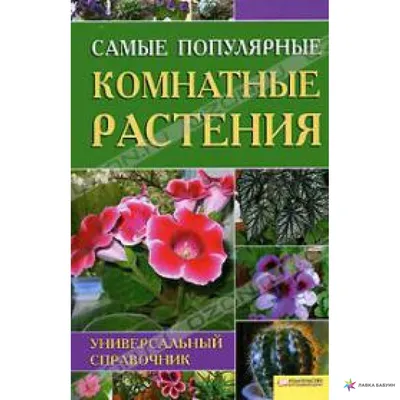 Комнатные растения и цветы, цены - купить комнатные цветы в Москве -  интернет-магазин GREEN OFFICE