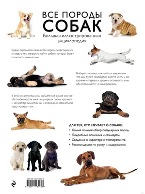 Большие породы собак – топ-15 крупных пород с фото – ProPlan.ru