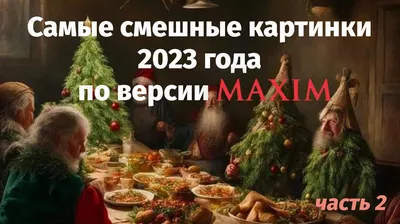 Показаны самые смешные фотографии домашних животных 2023 года: Звери: Из  жизни: Lenta.ru