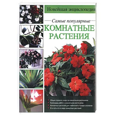 Растения, которые привлекают любовь в дом. Как привлечь любовь в дом с  помощью комнатных растений