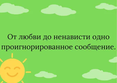 Хватит с меня оливье!» Самые смешные фото животных | Правмир