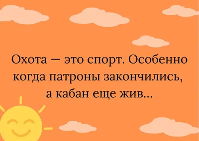 Самые смешные фото котов, которые наделали шума в интернете