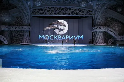 Океанариум Sochi Discovery World Aquarium | самый большой океанариум в  России | Россия | Сочи