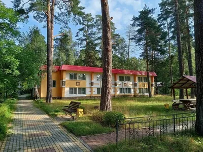 Отели и гостиницы рп Белые Берега, Брянская область - бесплатное  бронирование, отзывы, цены 2023