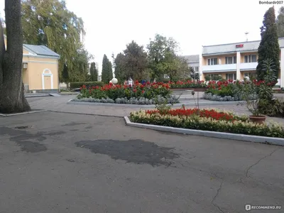 Инвестиции в Санаторий им. Дзержинского как расплата за неверный  бизнес-путь | Интернет-газета Время Воронежа