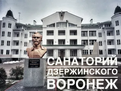 Жителей села под Воронежем обеспокоило строительство в парке санатория  имени Дзержинского