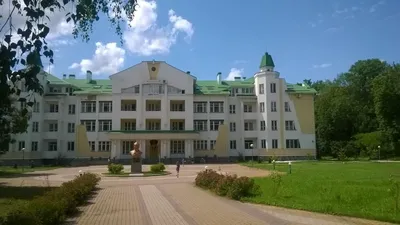 Инвестиции в Санаторий им. Дзержинского как расплата за неверный  бизнес-путь | Интернет-газета Время Воронежа