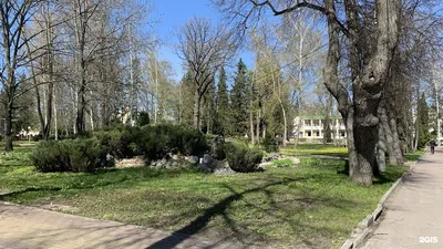 Мы точно знаем, что среди наших подписчиков много творческих, талантливых,  активных 💪 Поделитесь с друзьями) Вдруг это.. | ВКонтакте
