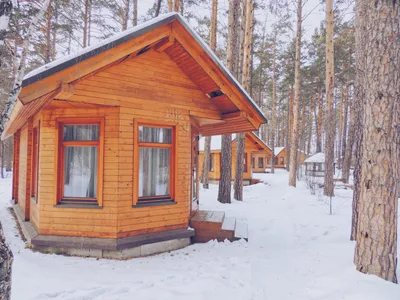 Енисей, санаторий, улица Лесная, 151 к7, Красноярск — 2ГИС