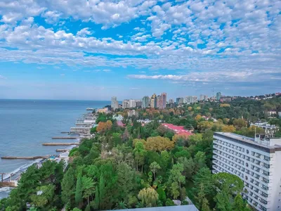 Фото: Санаторий имени М.В. Фрунзе, санаторий, Курортный просп., 87, Сочи —  Яндекс Карты