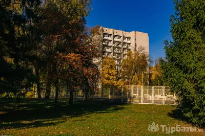 Лысая гора (Воронеж) — Википедия