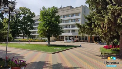 В Воронеже признали готовыми к купальному сезону восемь пляжей - KP.RU