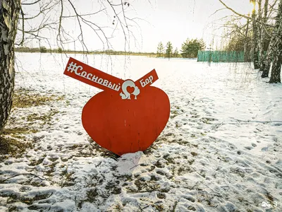 Санаторий «ХВОЙНЫЙ» // ТЮМЕНЬ Цены на 2024 год Официальный сайт с лечением  для пенсионеров