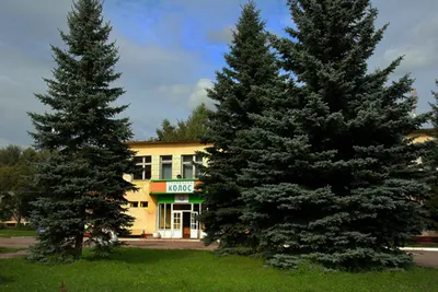 Детский санаторий «Колос», Рязань — официальный сайт. Цены на путевку в  2024 году, фото, отзывы
