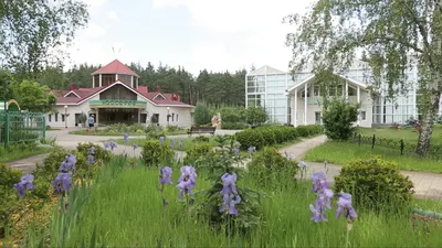 Санаторий «Красиво» в Белгородской области - цены 2024, фото, отзывы
