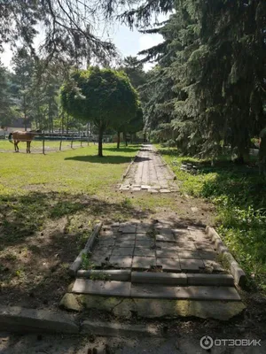 Санаторий Ленинград (Кабардино-Балкарская республика, Северный Кавказ,  Россия) - Официальные цены на отдых 2024 год, сайт бронирования