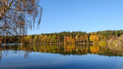 Тулуковщина (База отдыха Лесное озеро) — Рыбалка в Брянской и Орловской  области