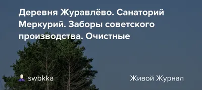 Деревня Журавлёво. Санаторий Меркурий. Заборы советского производства.  Очистные