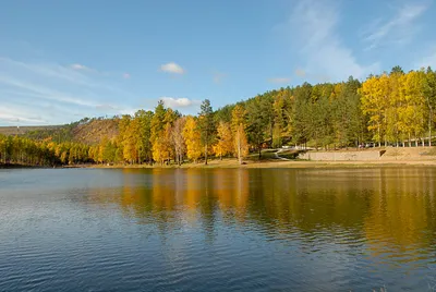 Молоковка в Чите